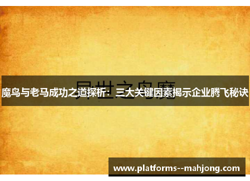魔鸟与老马成功之道探析：三大关键因素揭示企业腾飞秘诀