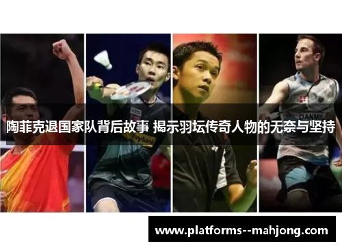陶菲克退国家队背后故事 揭示羽坛传奇人物的无奈与坚持